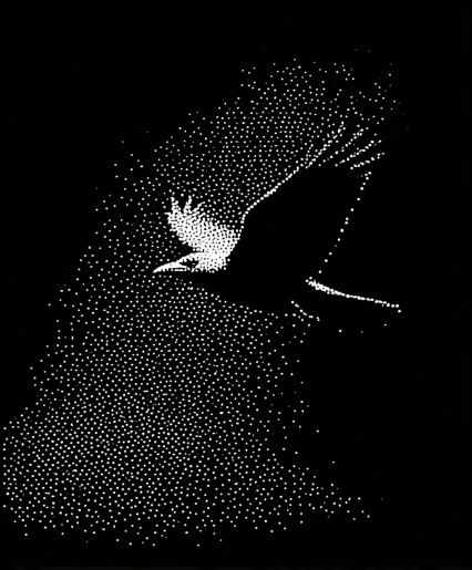 A bird in flight drawn in white dots on black