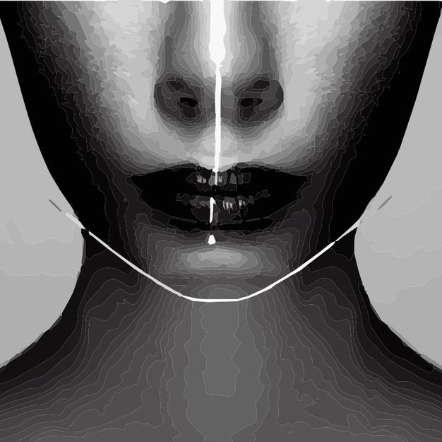The lower half of a face, traced into flat bands of grey