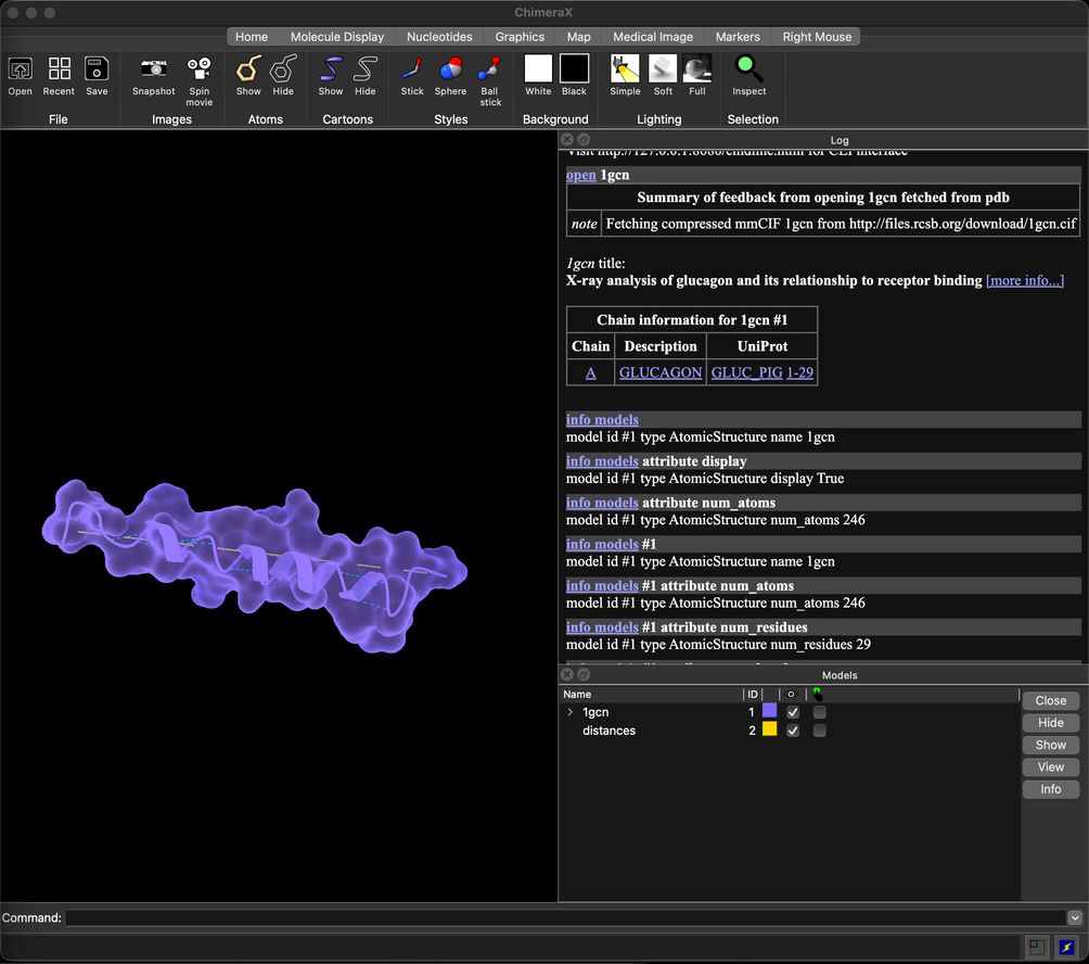 ChimeraX showing glucagon as a purple protein surface, with its log and model list alongside